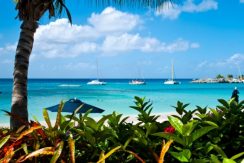 Port St Charles 167 long term rentals Barbados