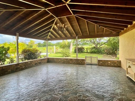 Back Patio Downstairs