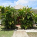 halcyon_seaside_drive_barbados_property_rental_house_1