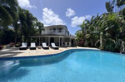 Palm Grove 8