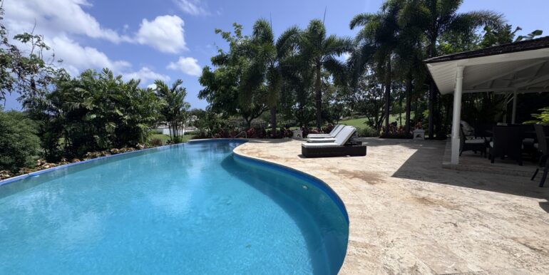 23-pool-palm-grove-8