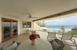 Palm Beach 603