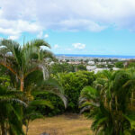View 1