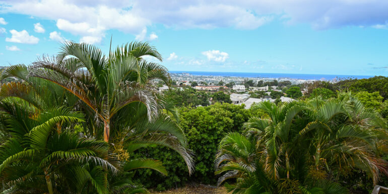 View 1