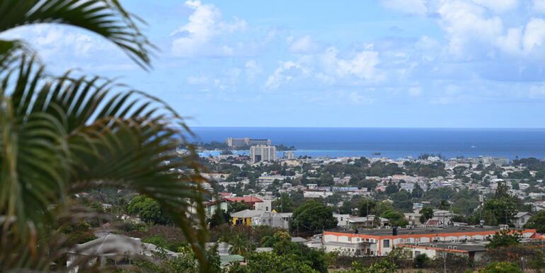 View 3