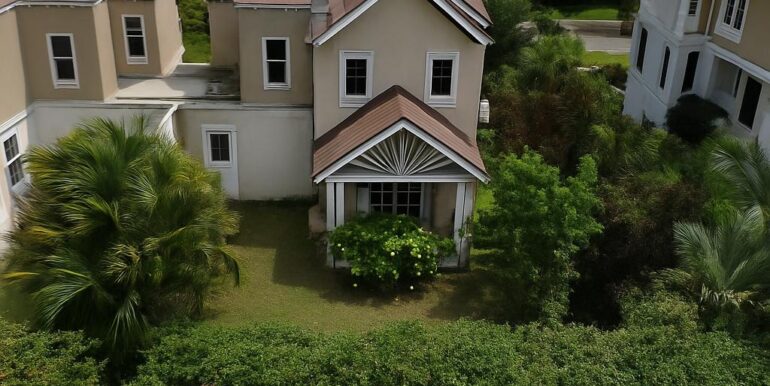 Welches Grove Drone Back Yard
