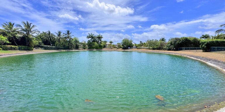 13 Millennium 27 Lake