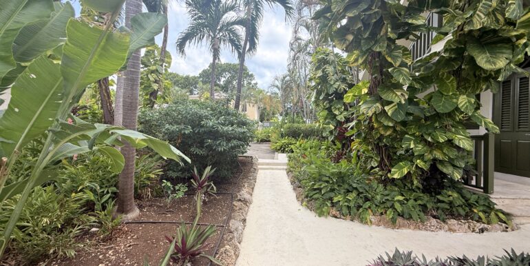 image00003