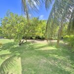 23 - Yorkshire 1 - Backyard