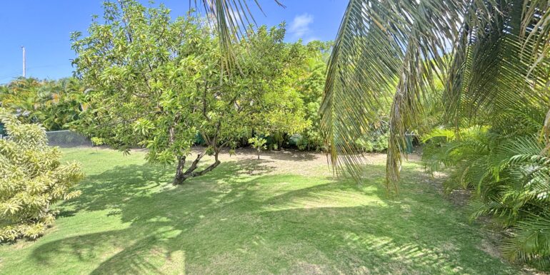 23 - Yorkshire 1 - Backyard