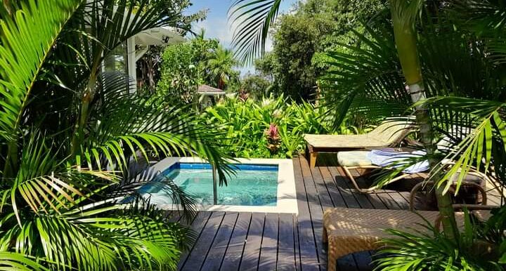 133-Shaded-plunge-pool-and-garden