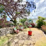 Garden 3