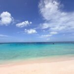 11 Beach View