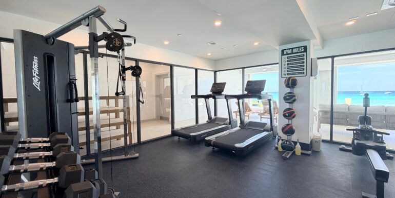 29 Gym 2